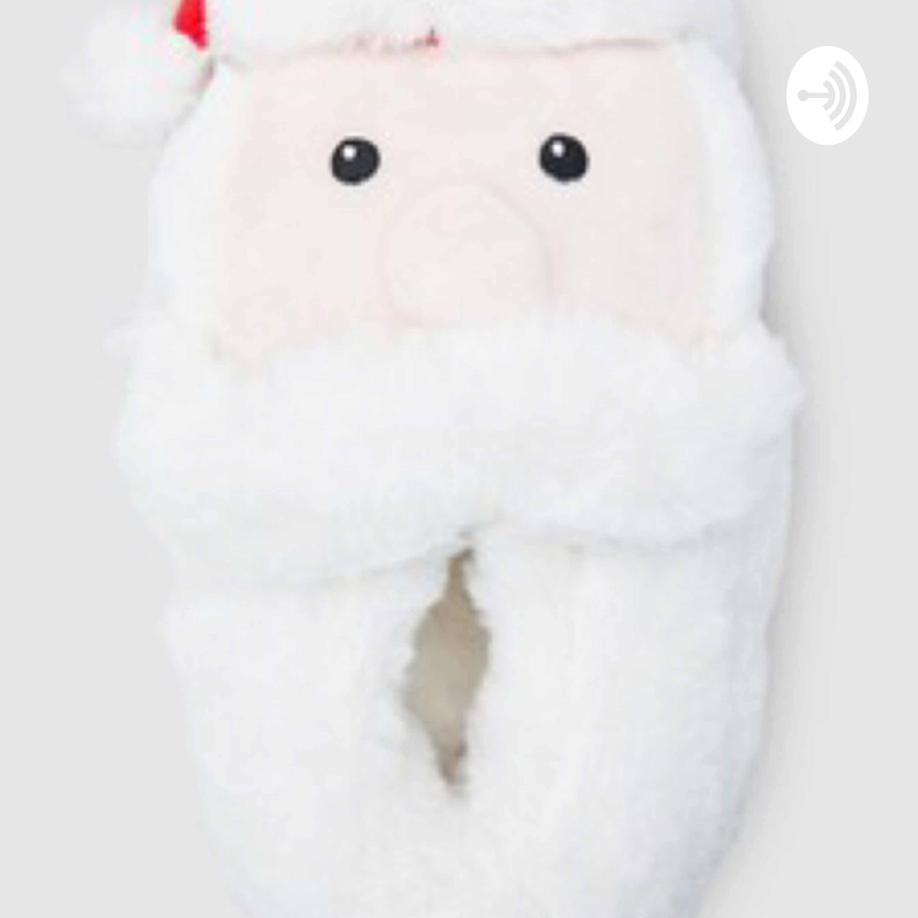 Santa slippers