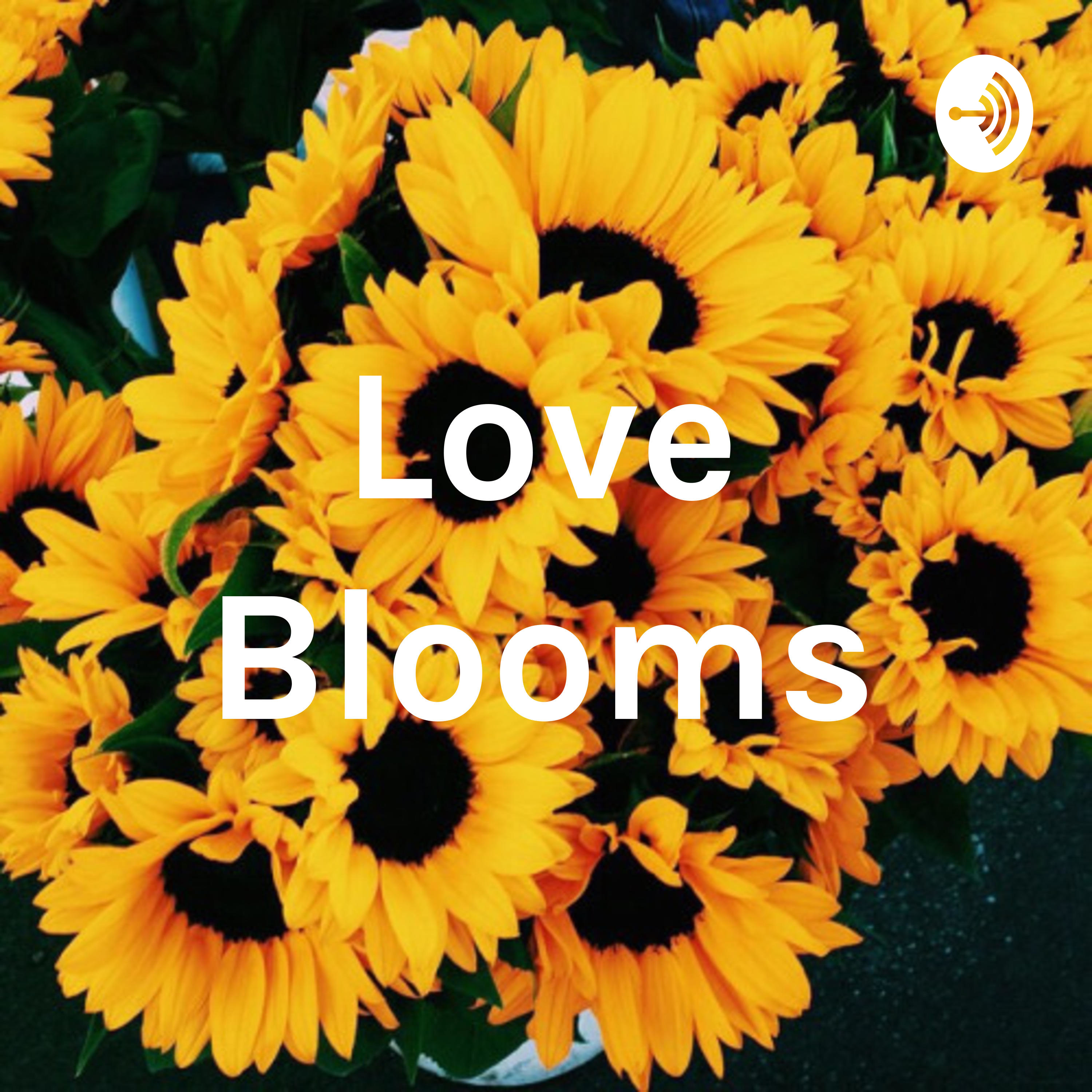 Welcome to Love Blooms!