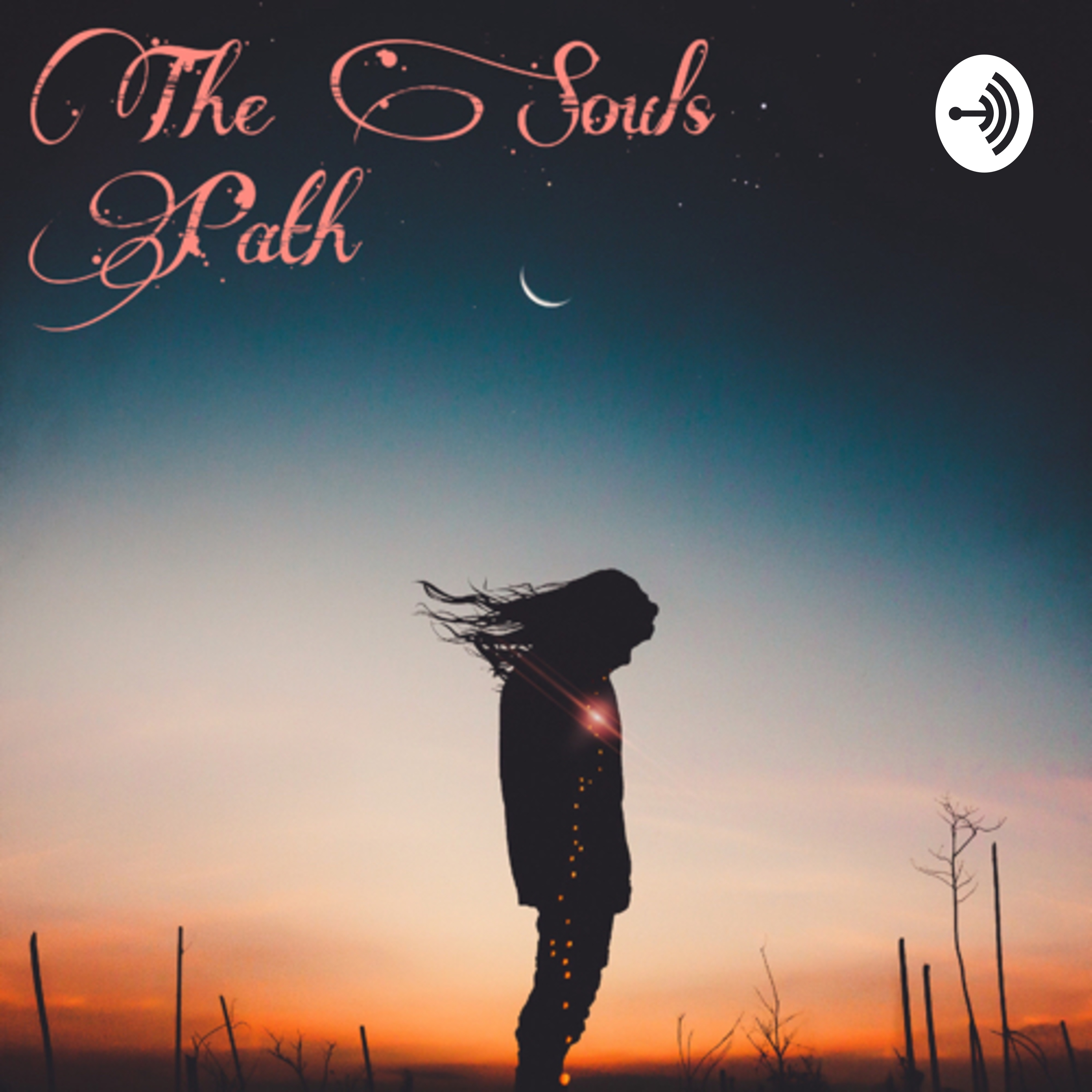 Vibrational Energy Pt 3 Healing through Sound Meditation