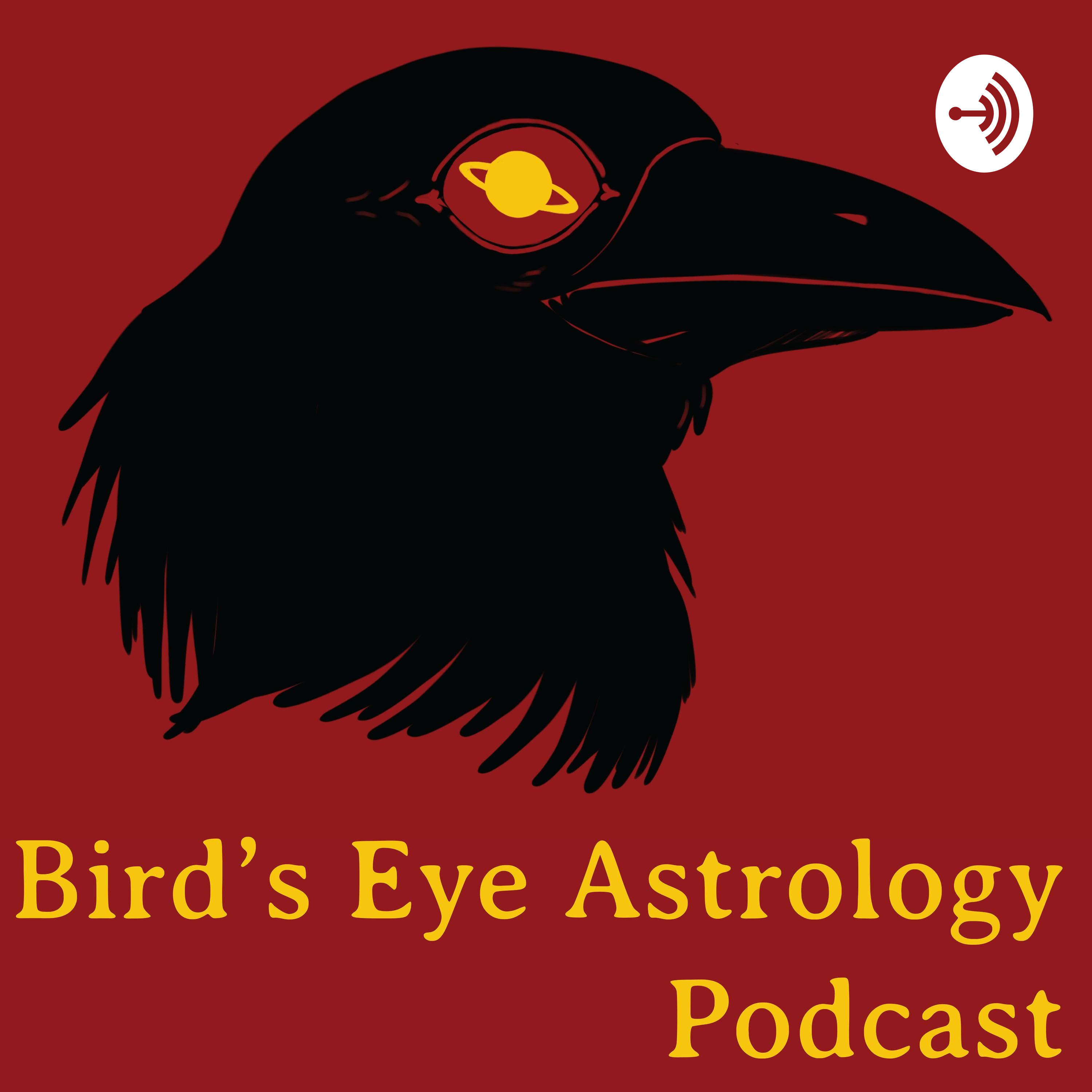 Episode 006 - Astrology of June 2019: Milkshaking a Brick Wall