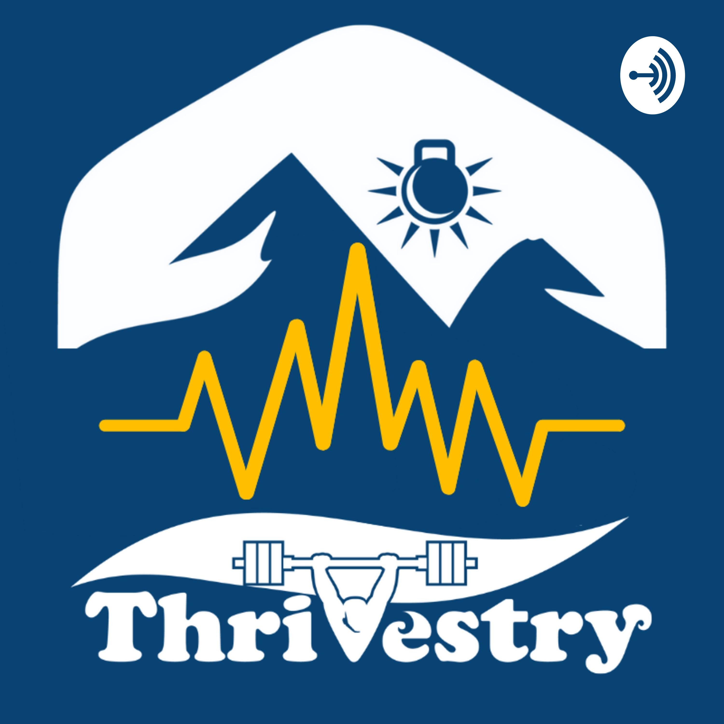 Thrivestry Podcast 015 – OODA Loop and how people around us affect our behavior