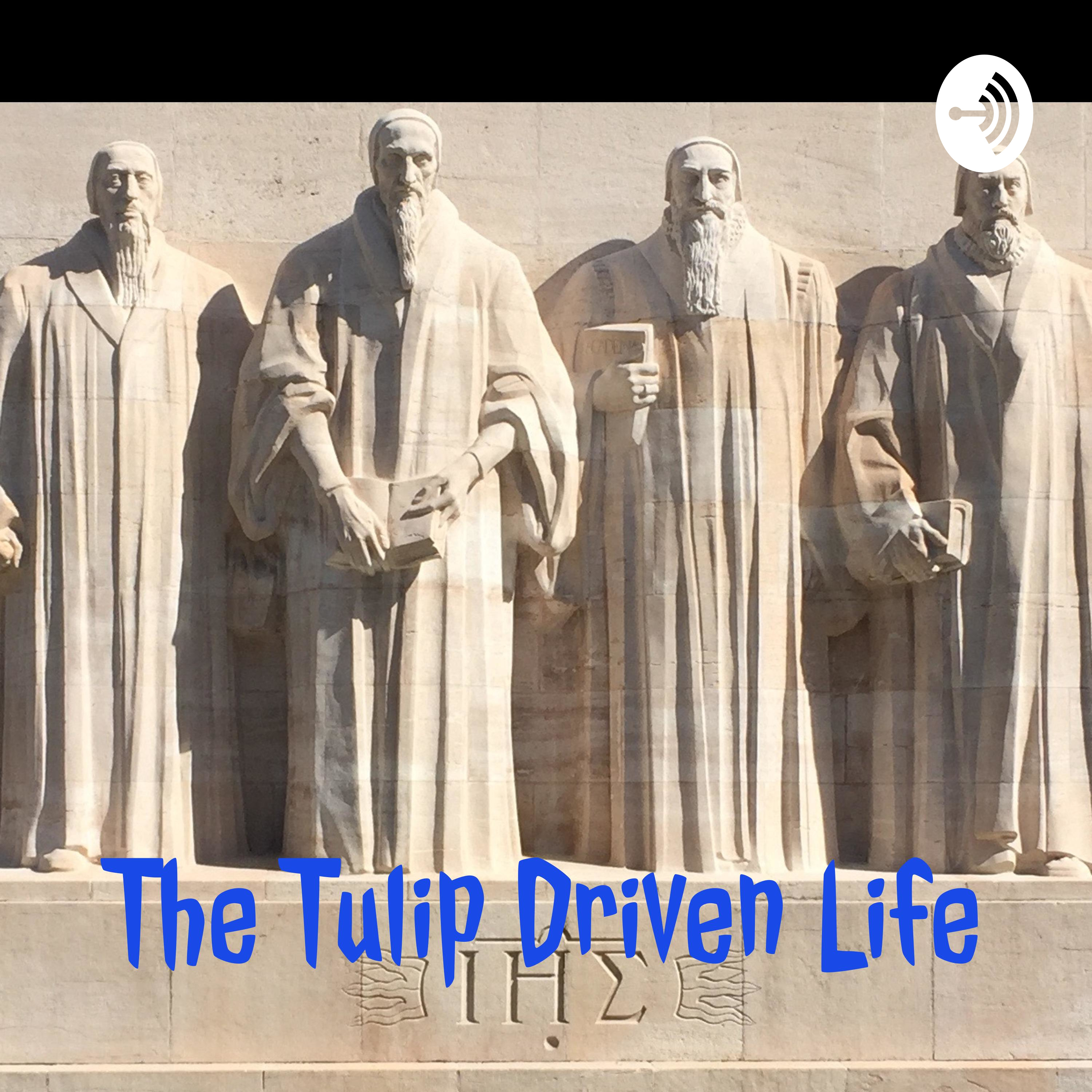 Westminster Larger Catechism Q. 23-25