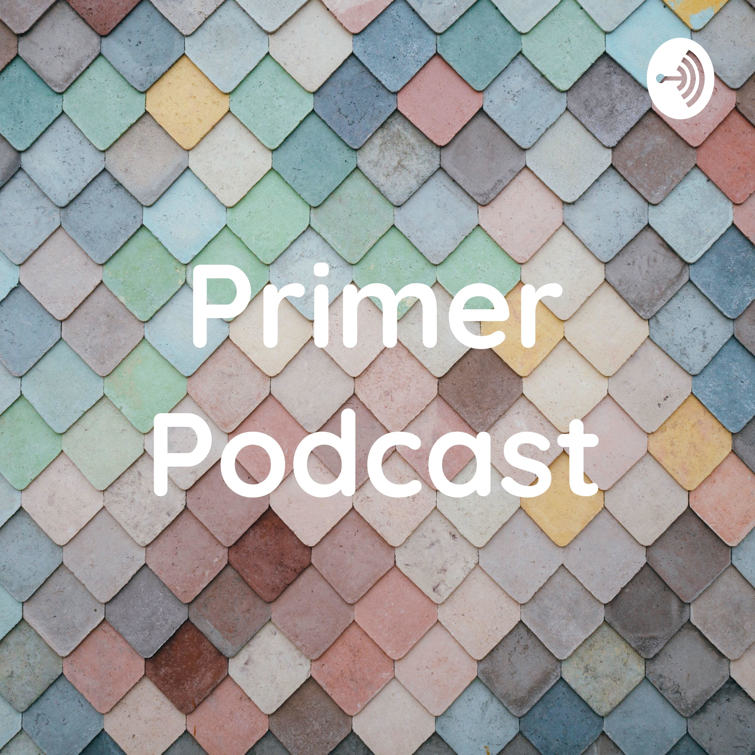 Primer podcast