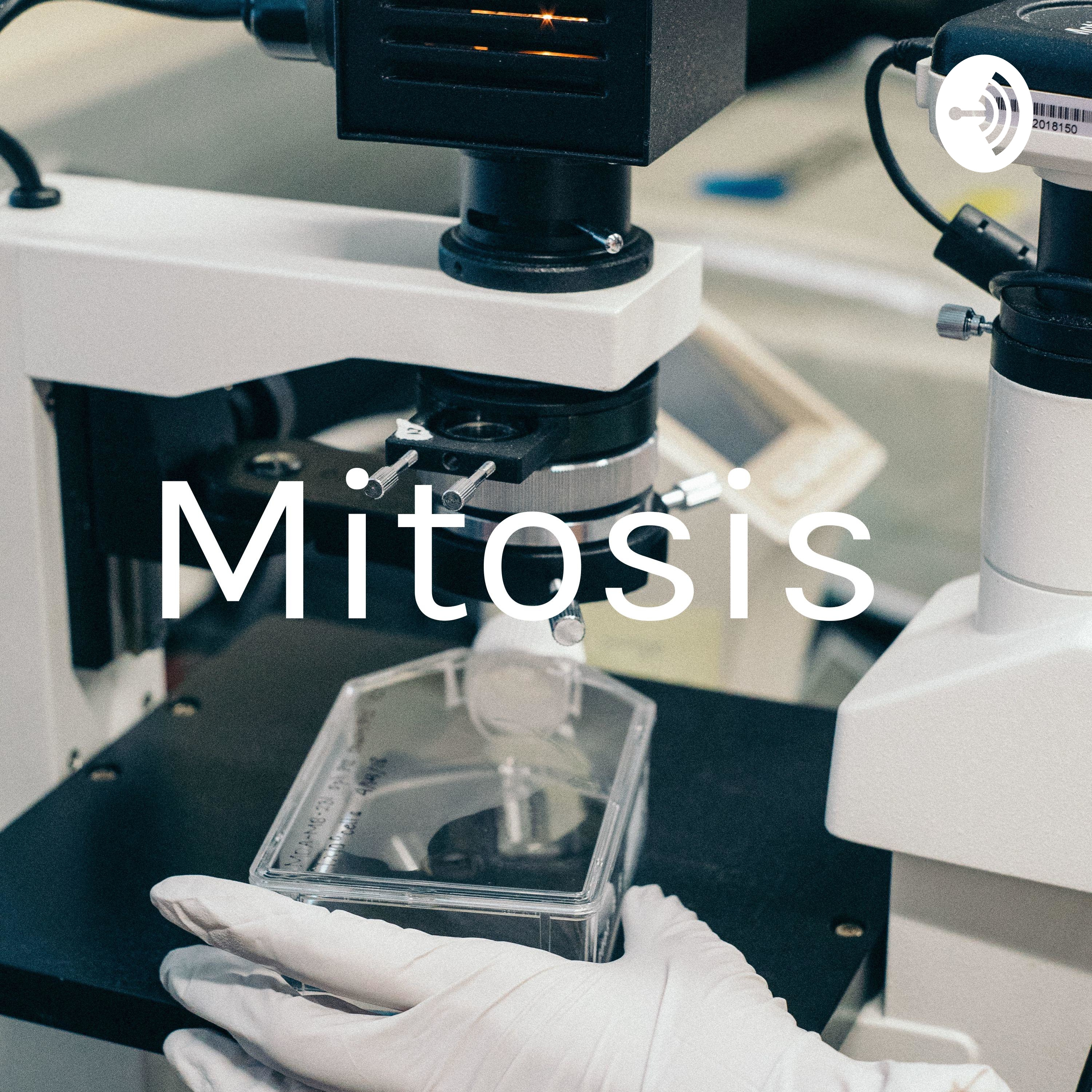 Mitosis