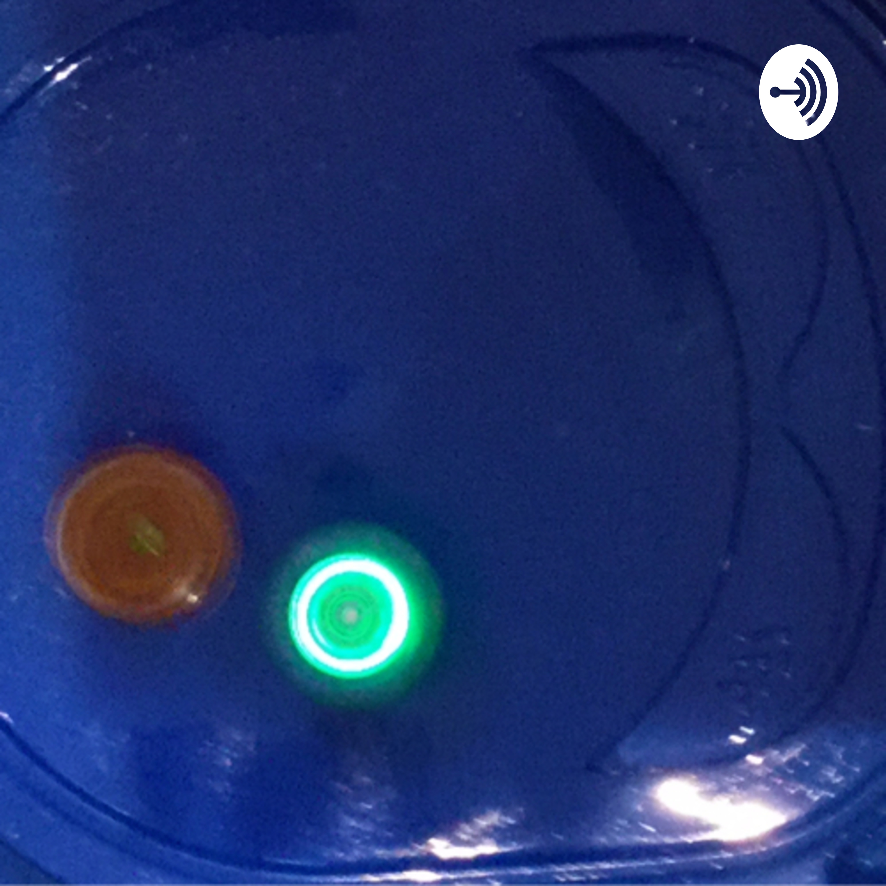 What beyblades spin on