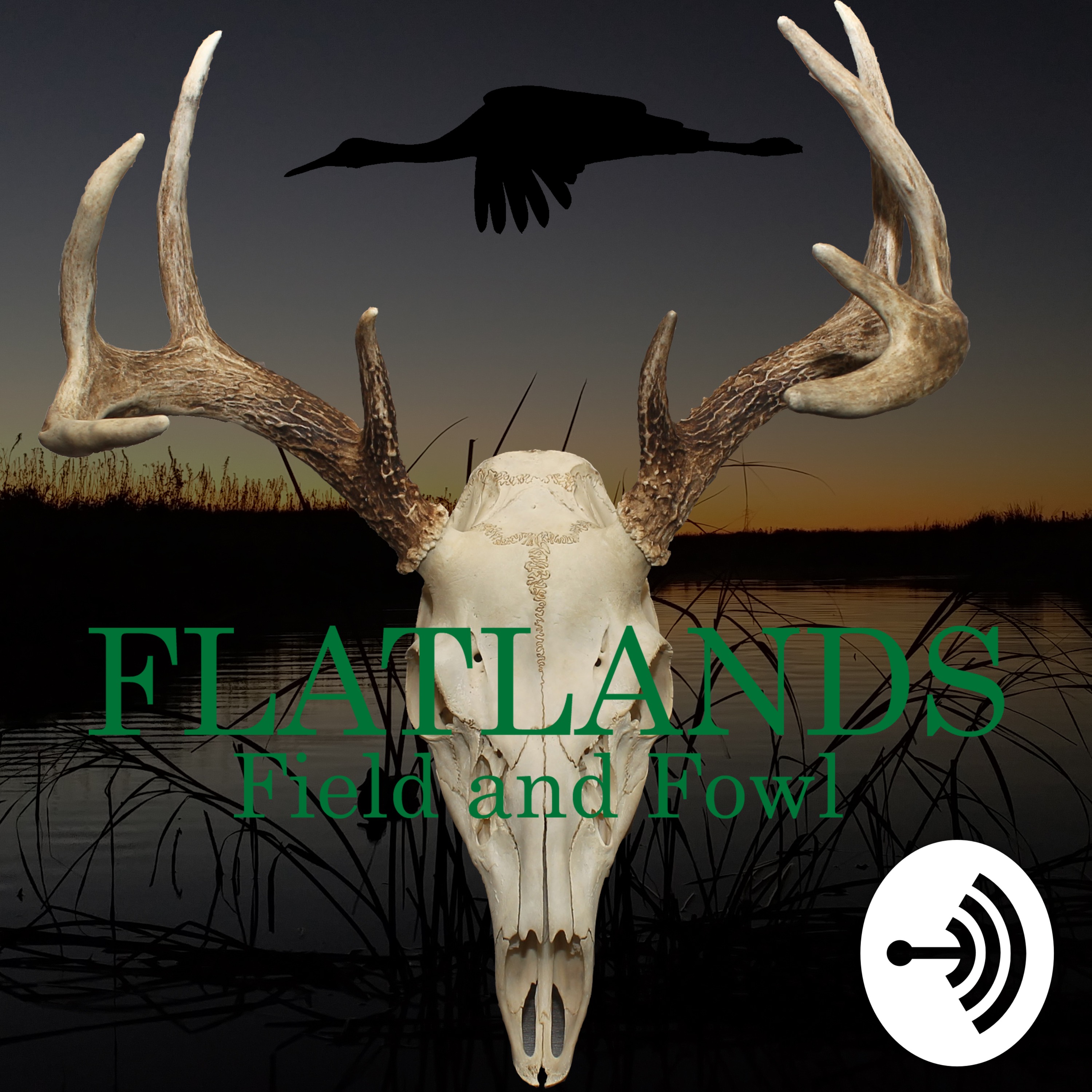Ep 14 : Licking Our Wounds Pt 4 End of the Year Wrap Up