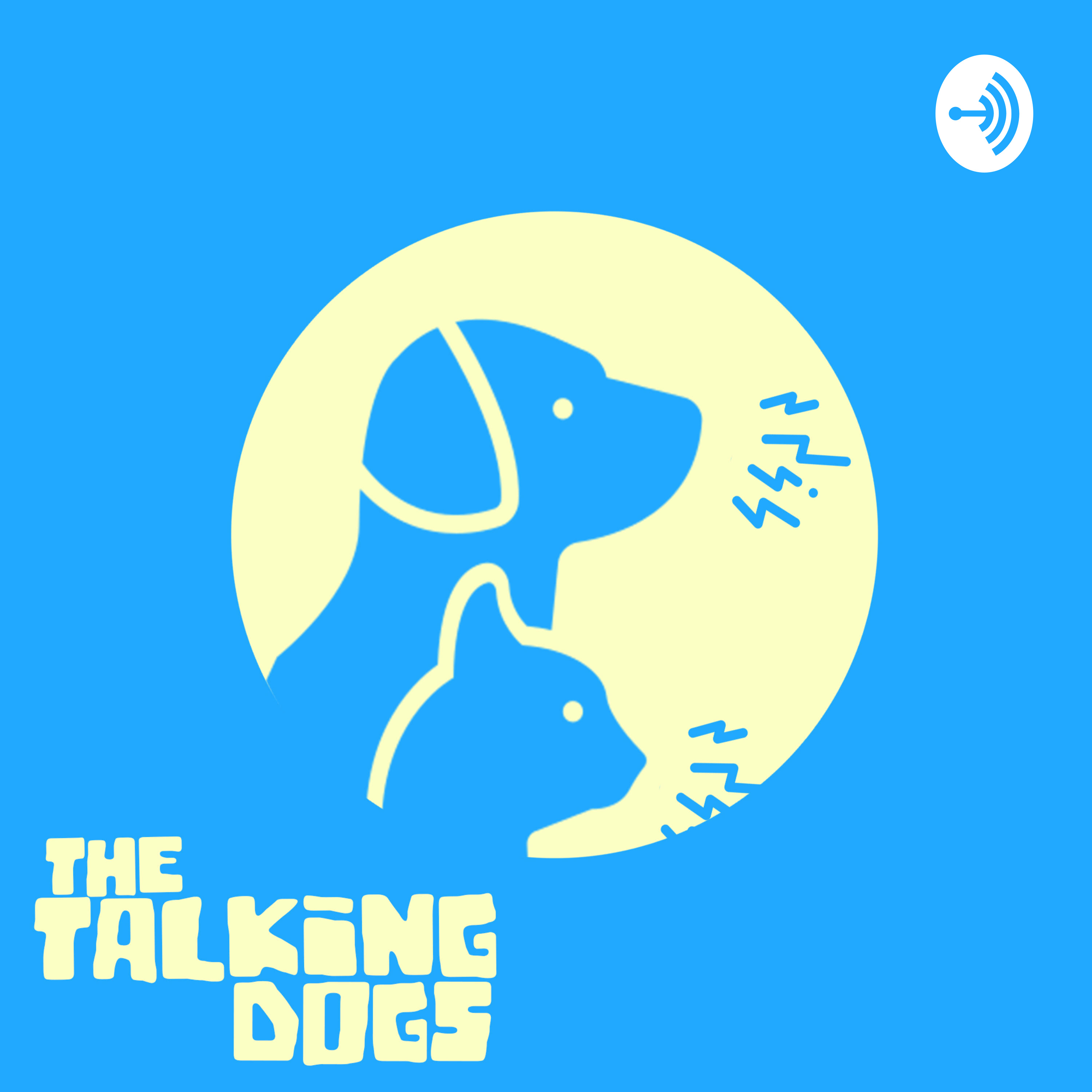 What is The Talking Dogs? - Episode 0