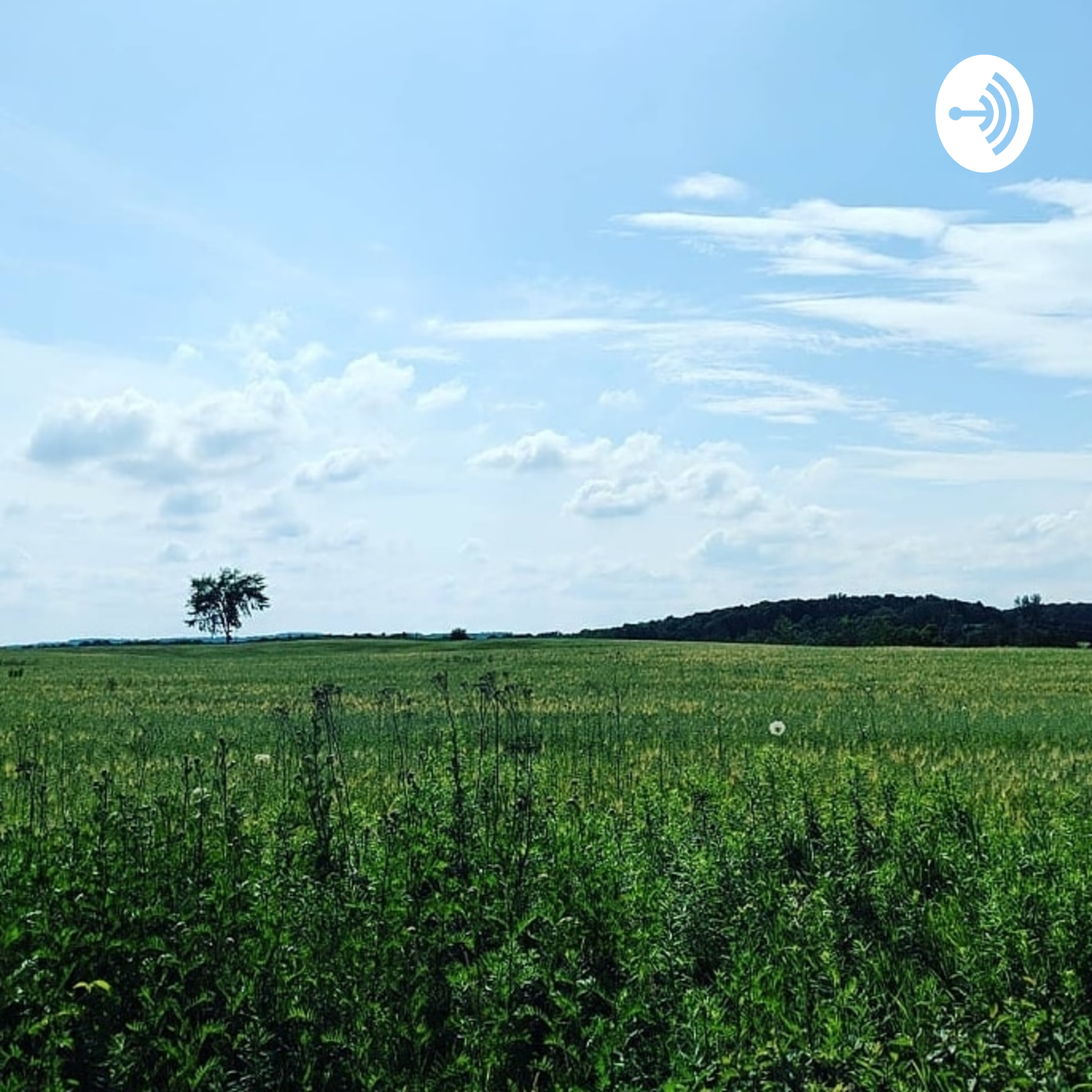 00004 - Antique Hunting, Amber Alert liars, and Gossiping guys