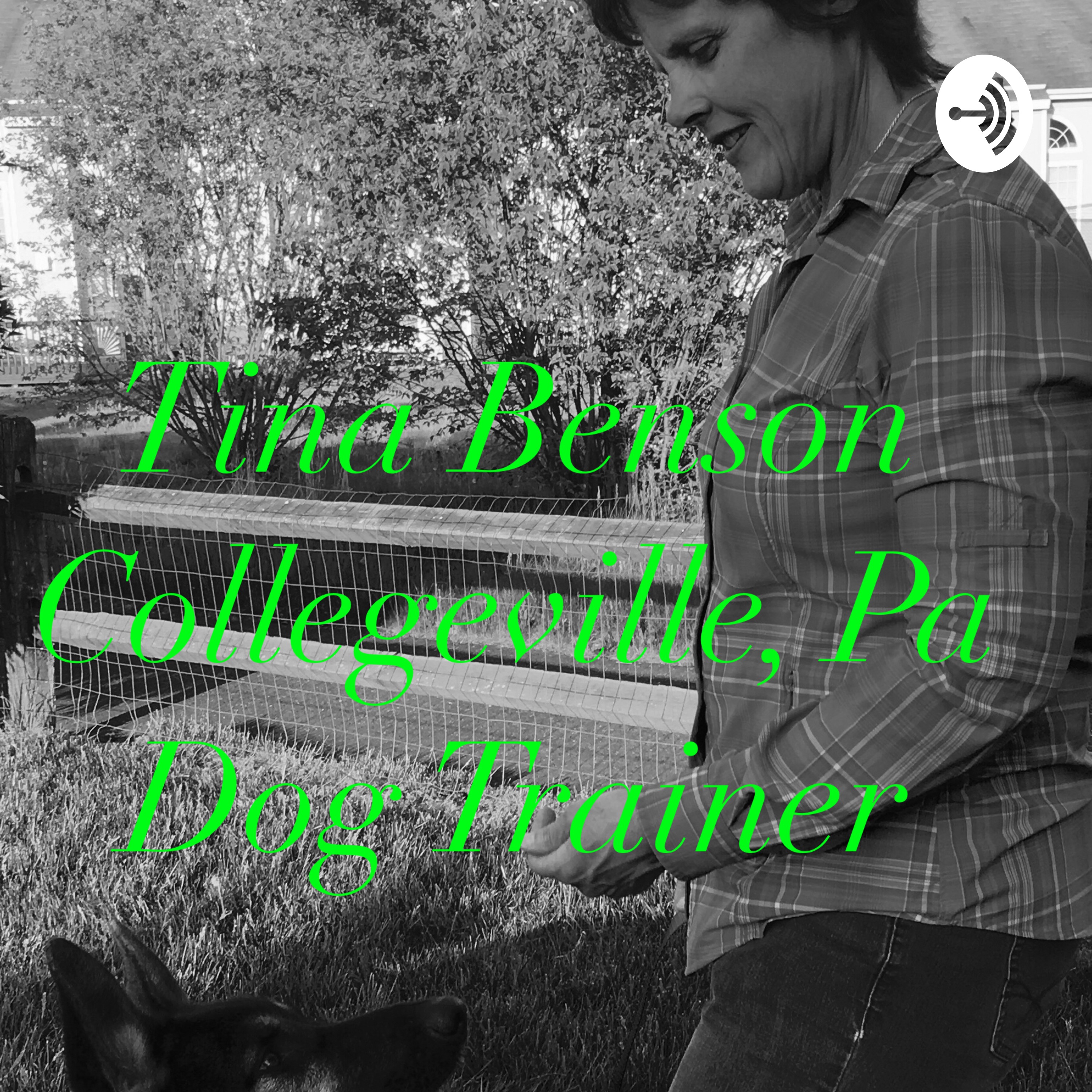 How To House Train your new rescue dog
