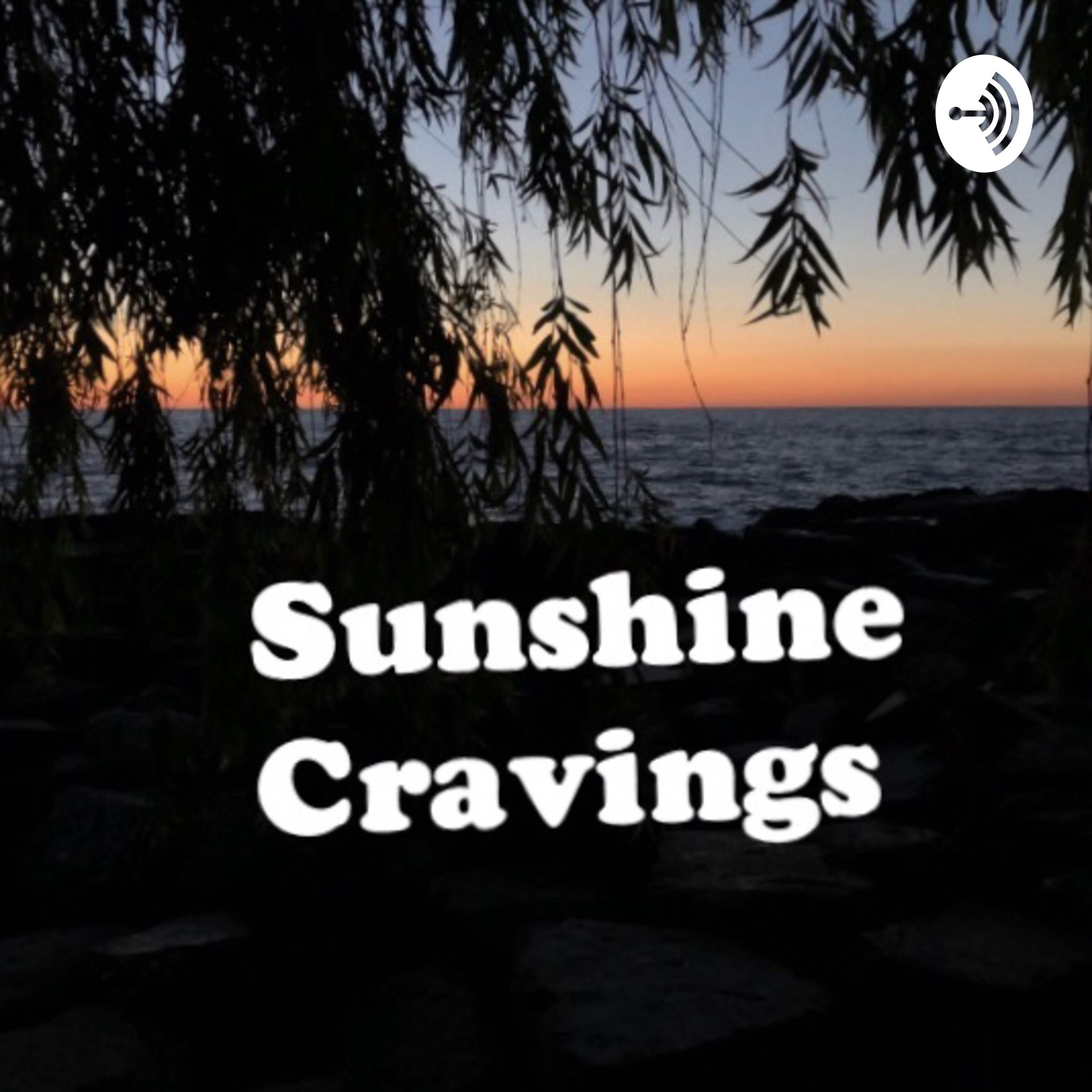 Guided Meditation: Gratitude