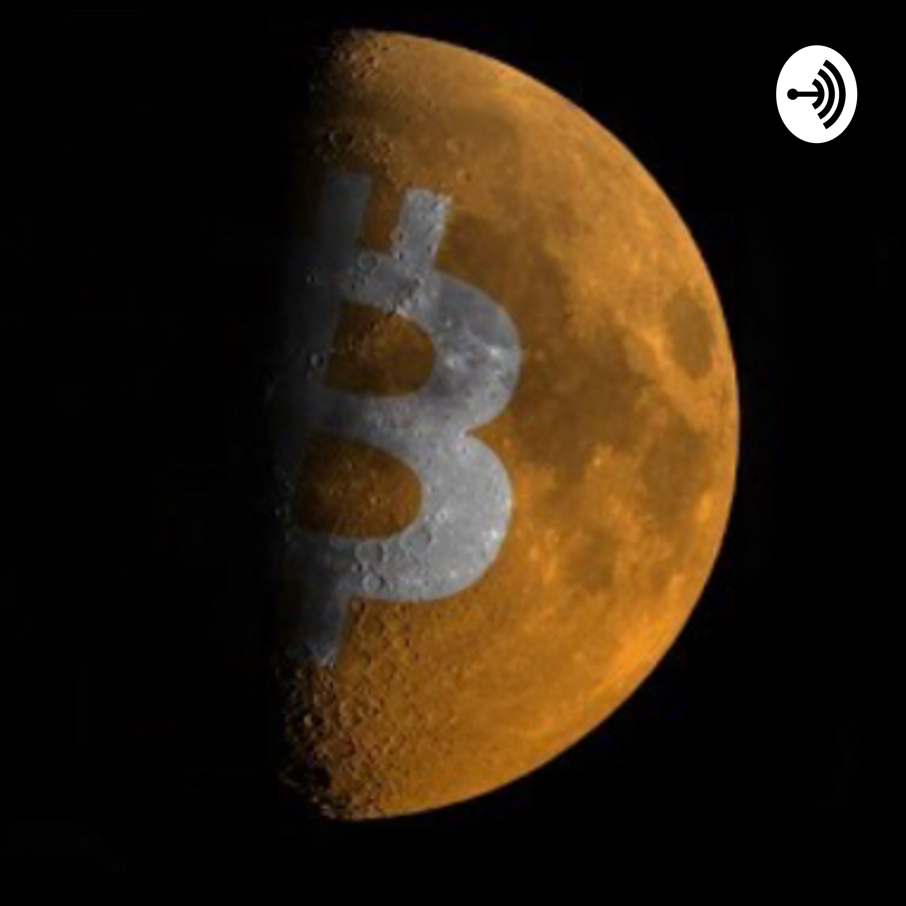 Cryptos Chose Me!