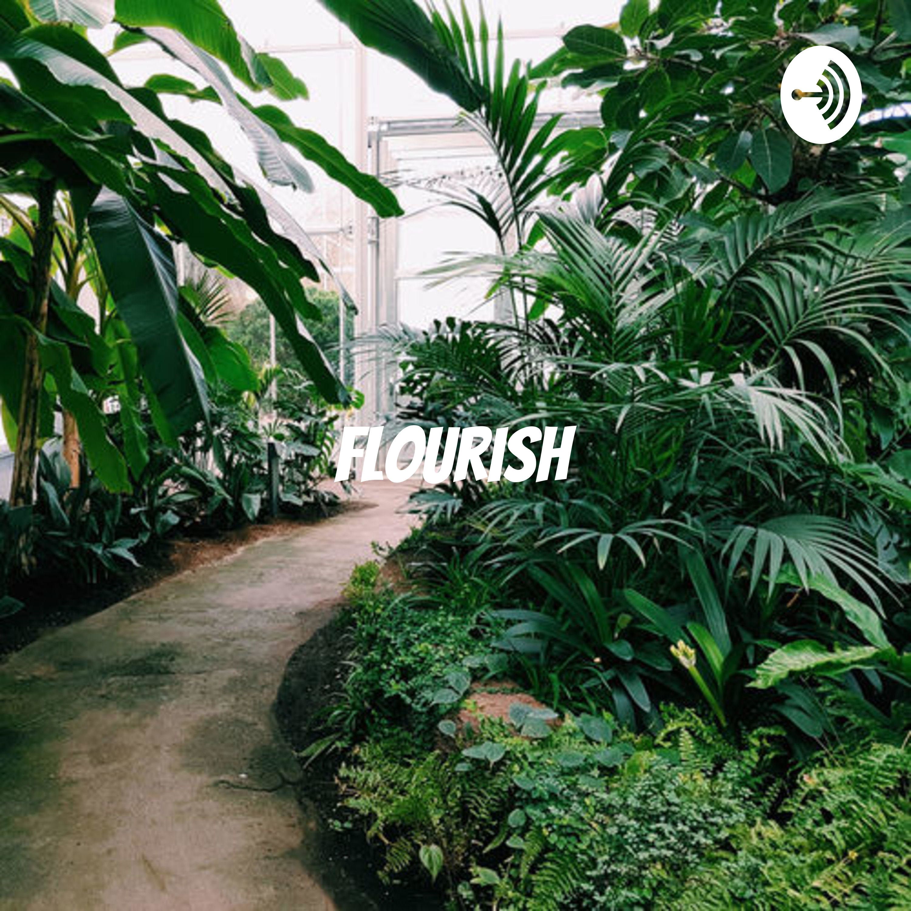 How to become the most famous artist How to become the most famous artist