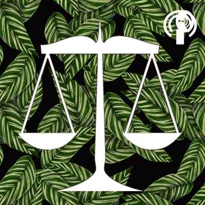 Pasifika Issues Podcast: Our Take on Legal Issues in the Pasifika Community