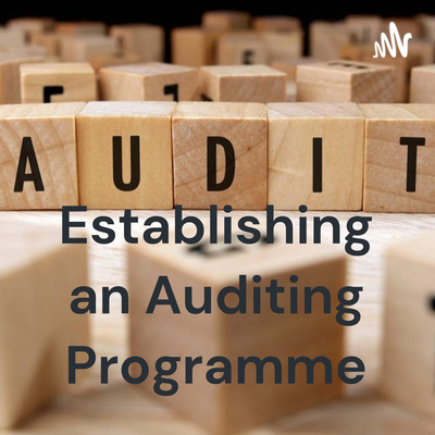 6.3.3. Conducting audit activities by Establishing an Auditing ...