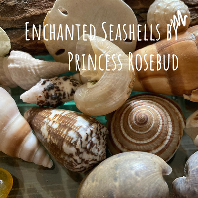 Enchanted Seashells by Princess Rosebud