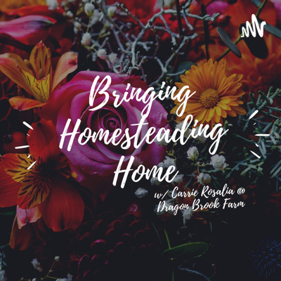 Bringing Homesteading Home