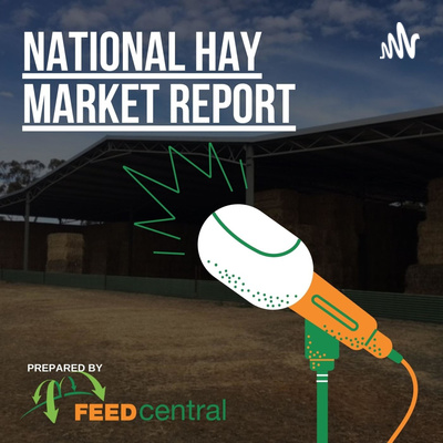 Feed Central Hay Market Report