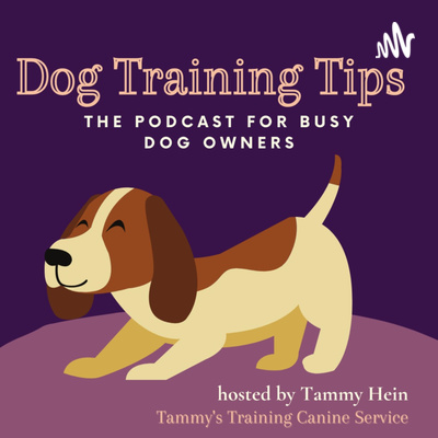 Dog Training Tips for Busy Families