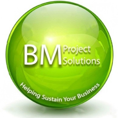 Business Management Project Solutions