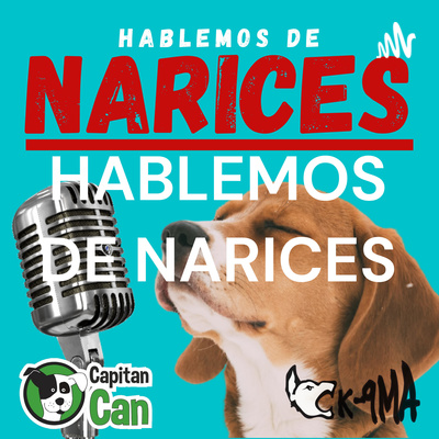 HABLEMOS DE NARICES