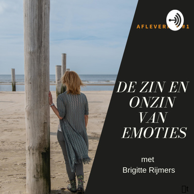 De Zin en Onzin van Emoties