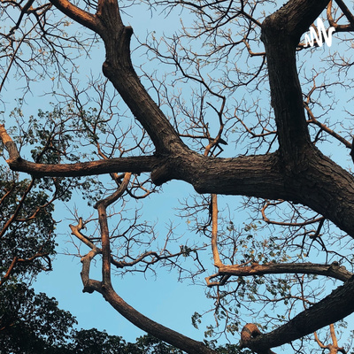 Fundamentally Messy with Visa and Sharan