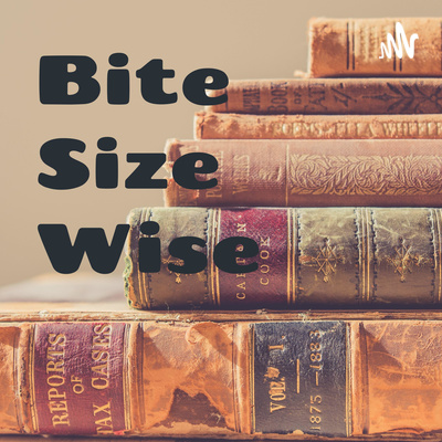 Bite Size Wise