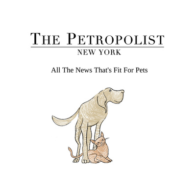The Petropolist