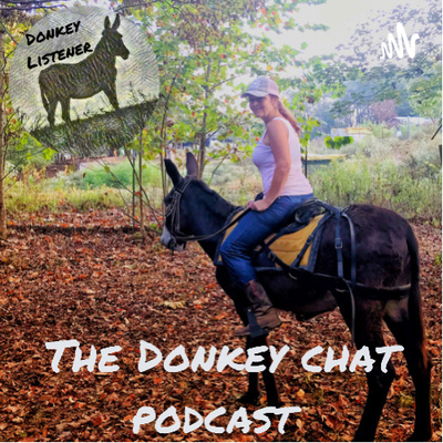 Donkey Chat! by Donkey Listener