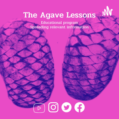 The Agave lessons and Mexican gastronomy. Agavecultura. A+ work © Ana G. Valenzuela-Zapata