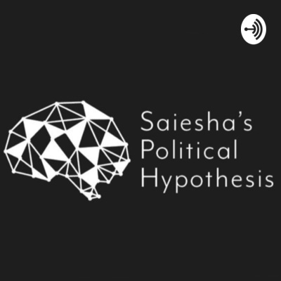 Is parliament ACTUALLY effective in carrying out its functions? by