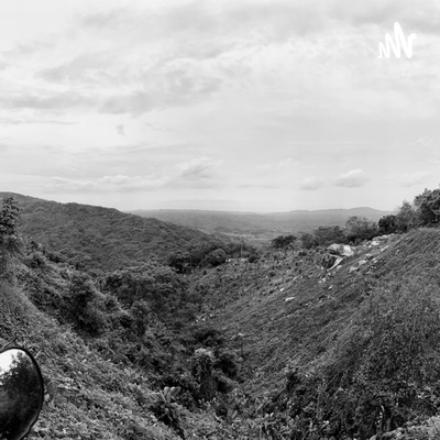 Animo, eres un sobreviviente