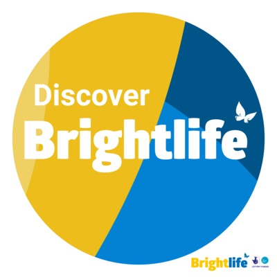 Discover Brightlife