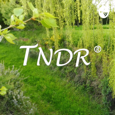 TNDR