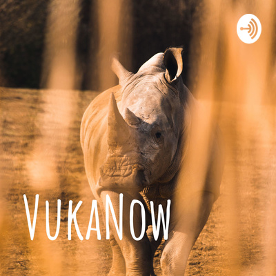 VukaNow: Combatting Wildlife Crime in Southern Africa
