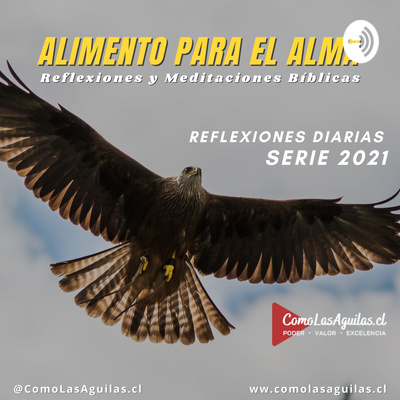 Alimento para el Alma