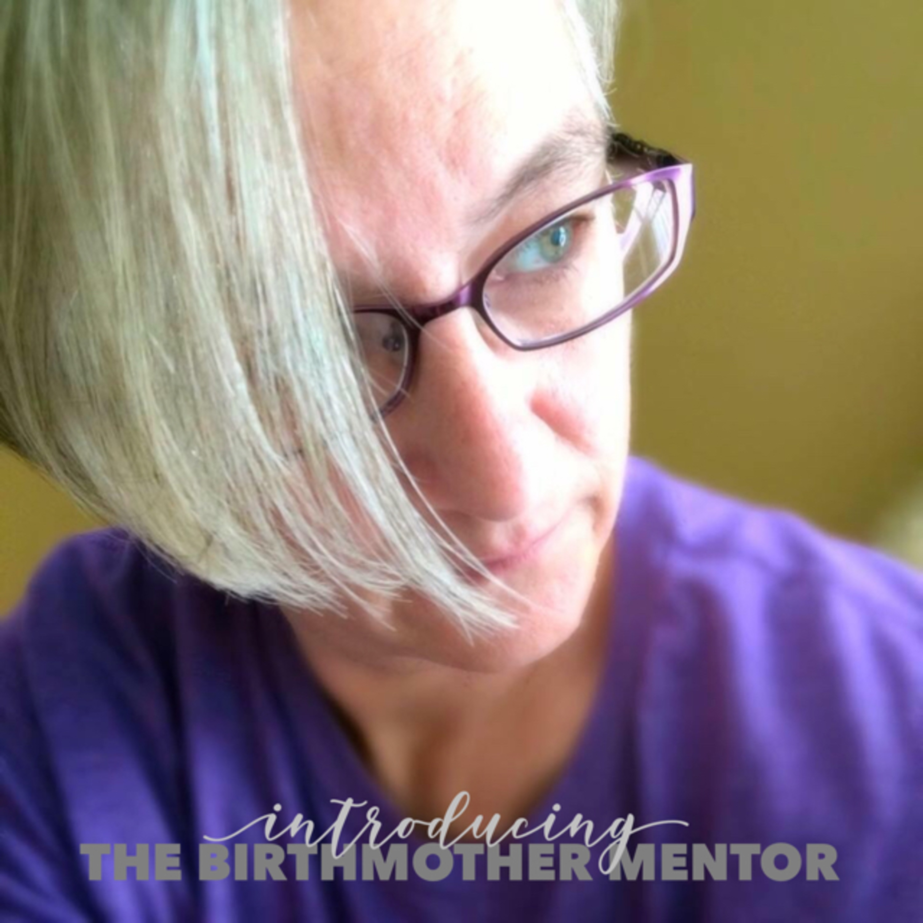 Introducing The Birthmother Mentor