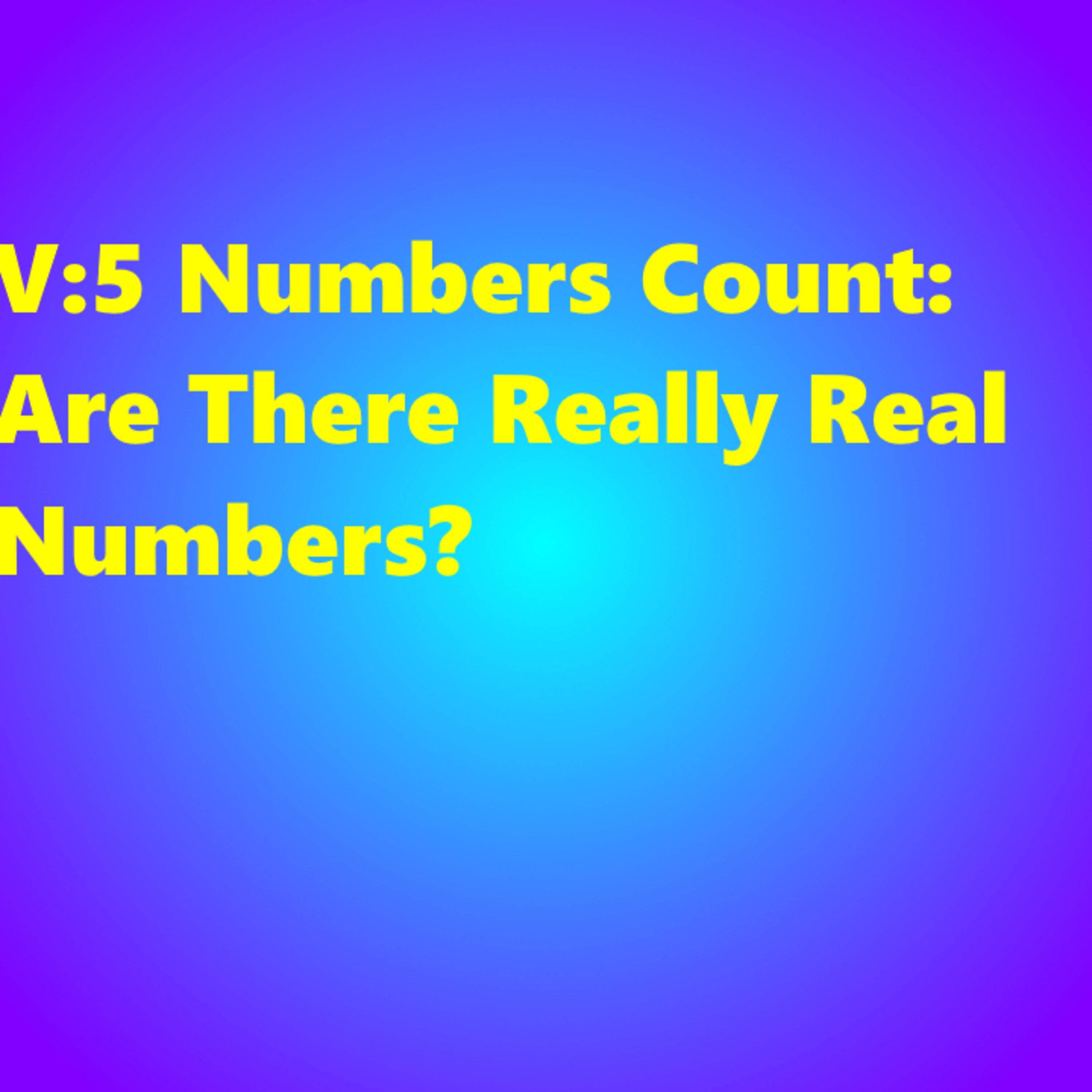 V:5 Numbers Count: Are There Really Real Numbers?