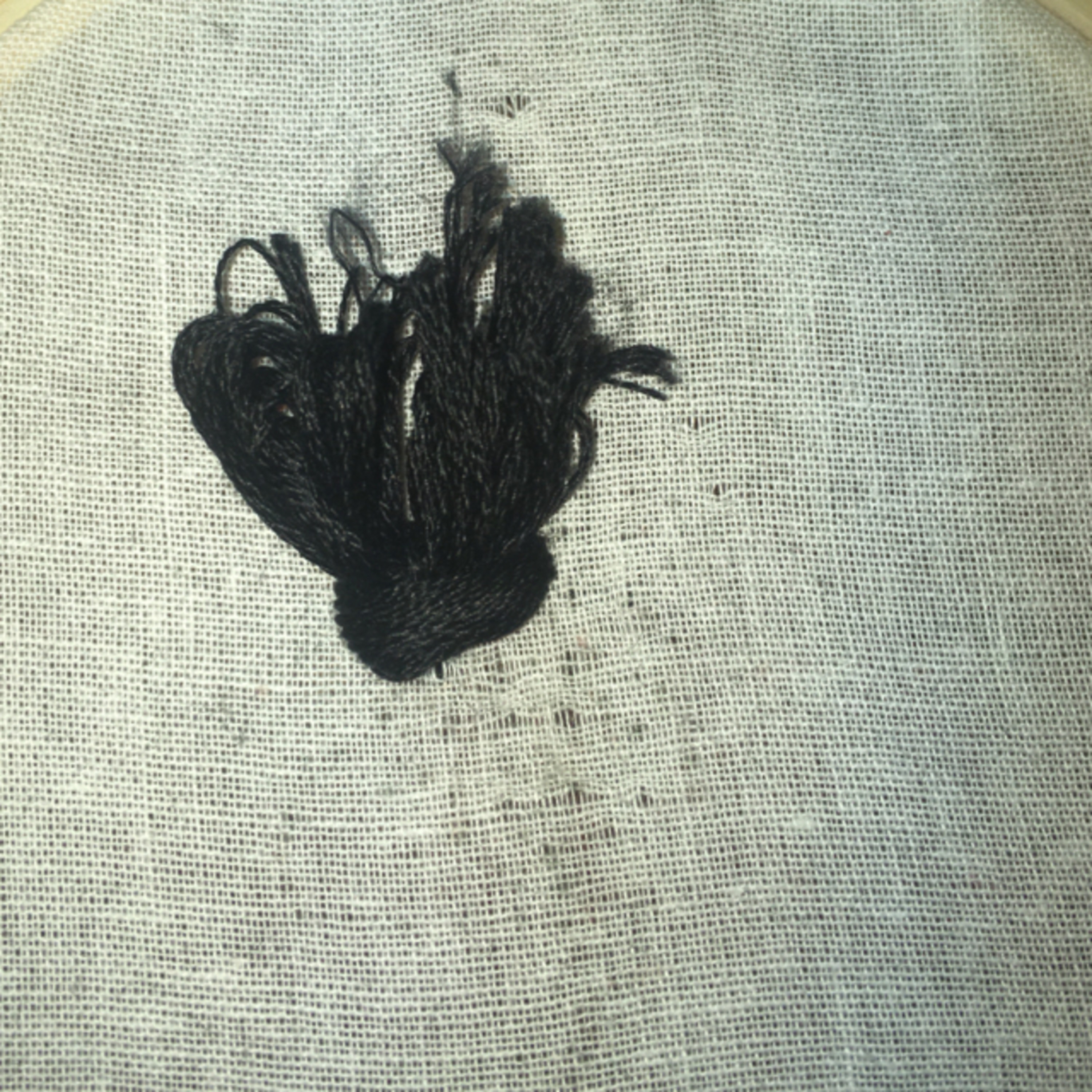 Episode 24: Tassel Tail