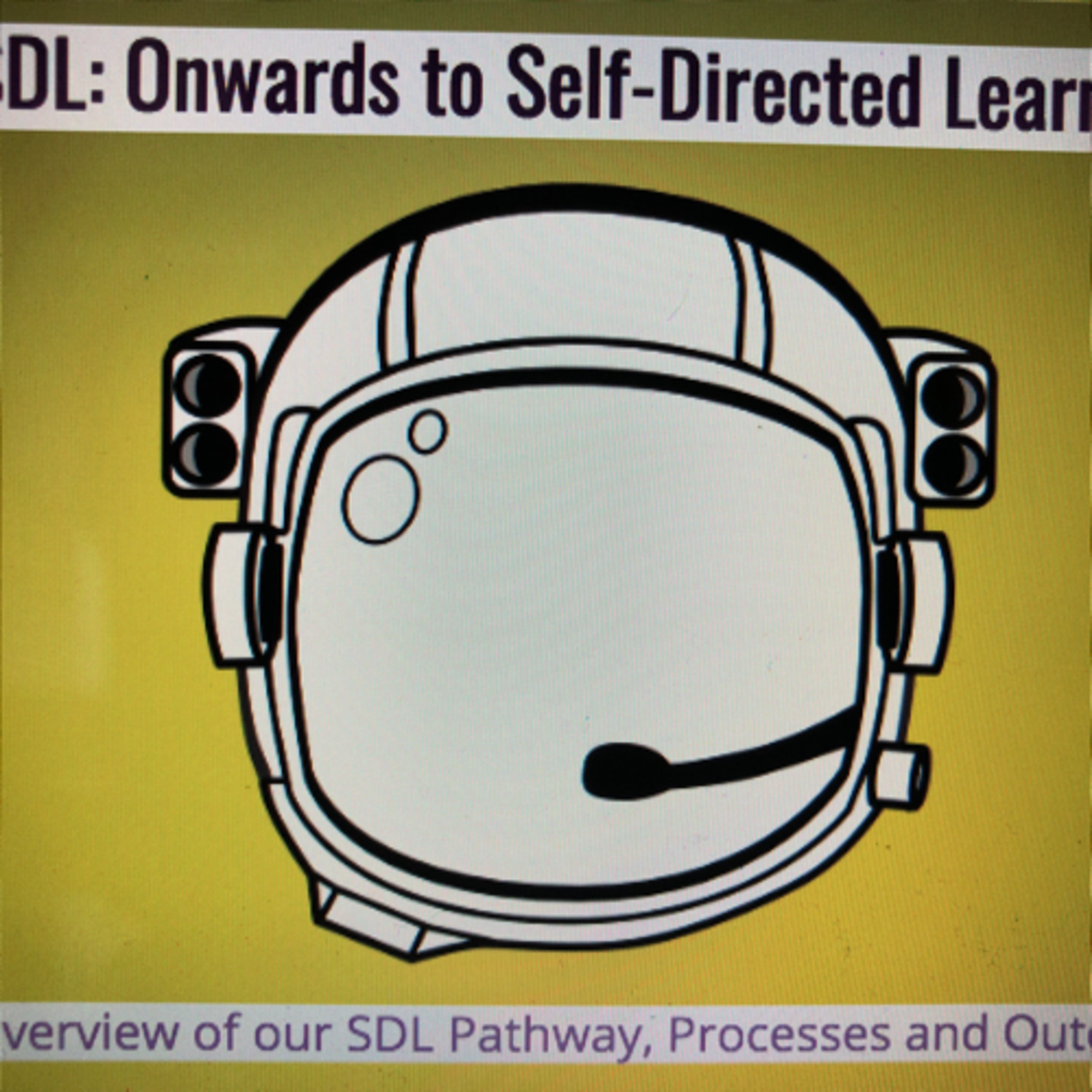 I am excited about SDL because...