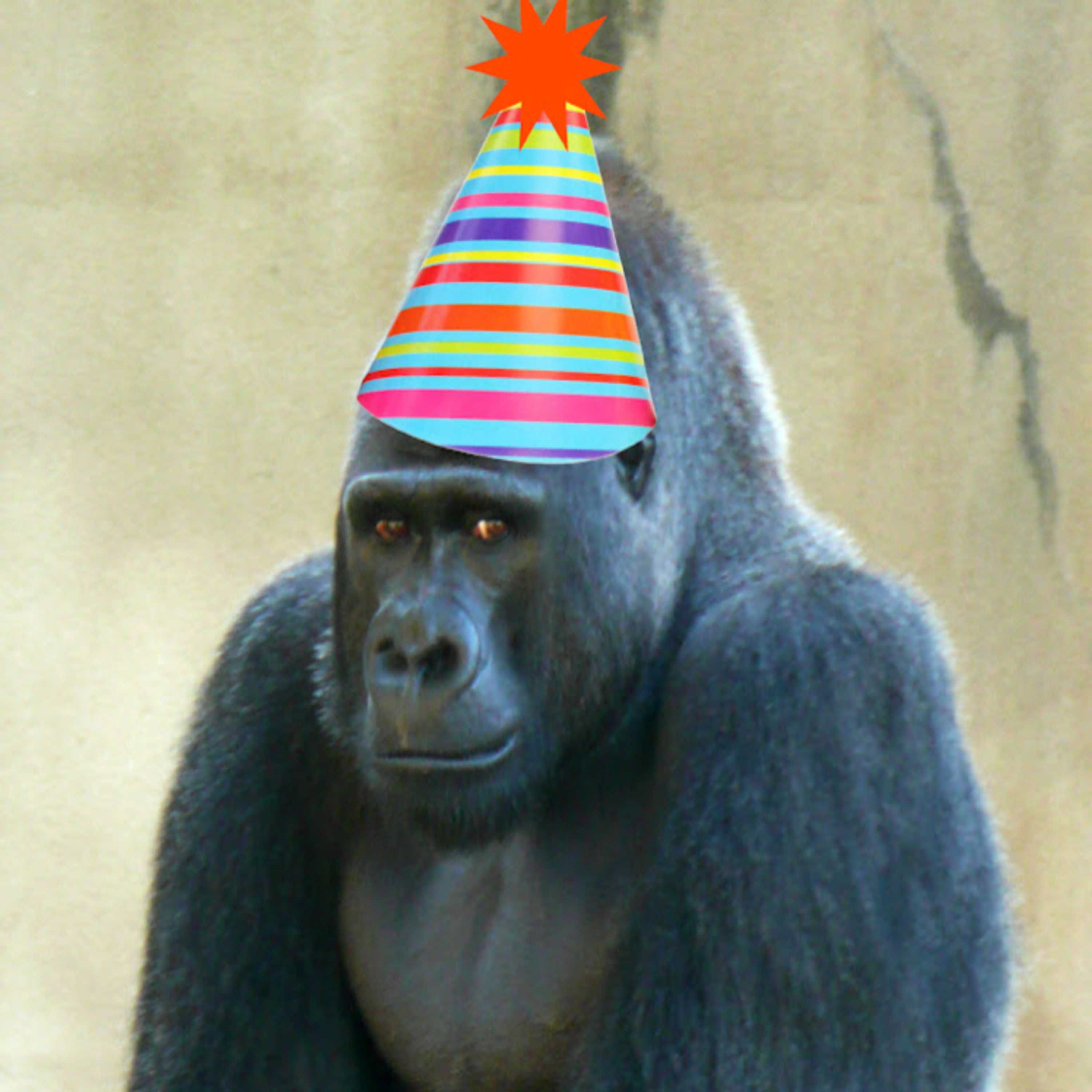 Episode 5 - Birthday Podcast!