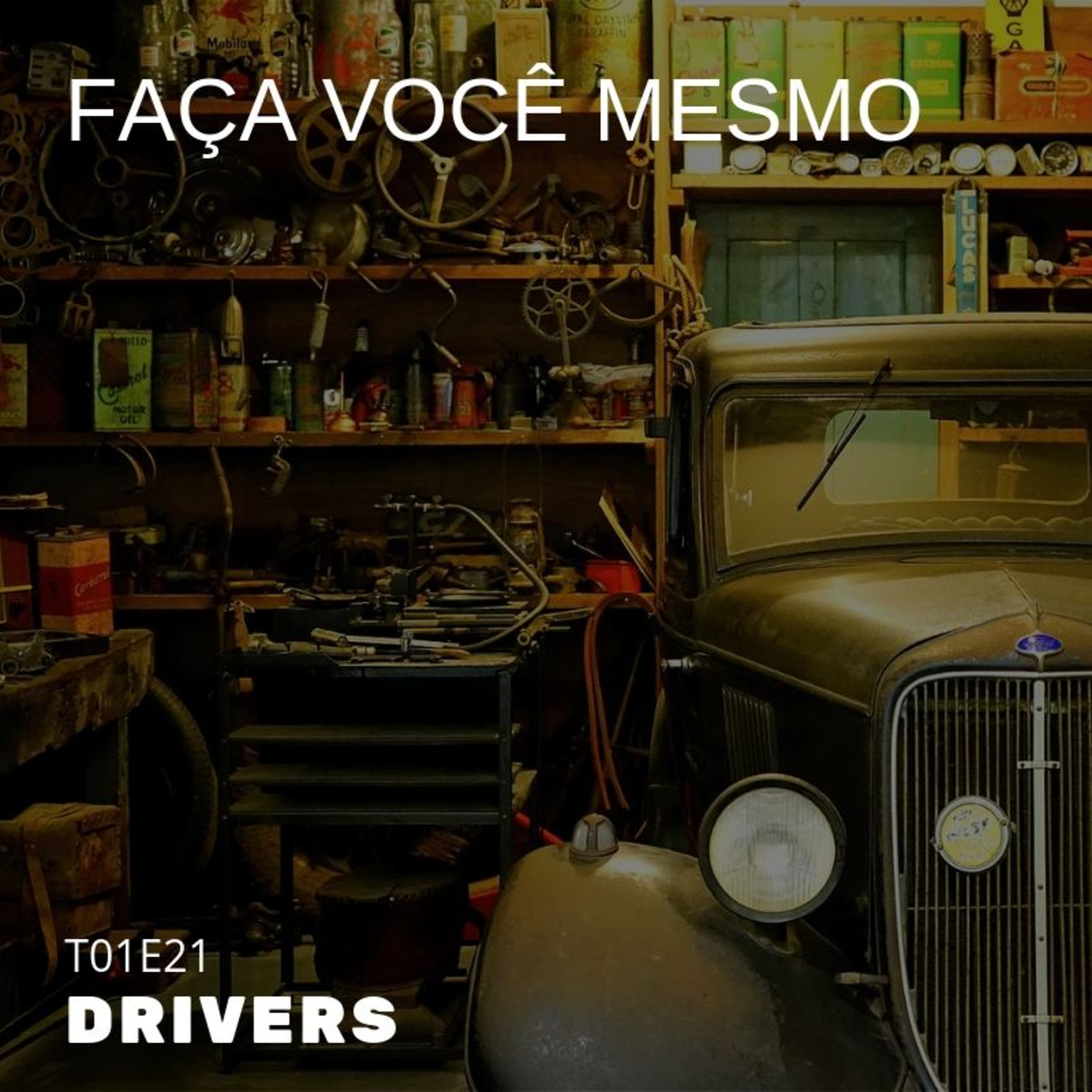 T01E21 - faça você mesmo (Laerte de Fraga)
