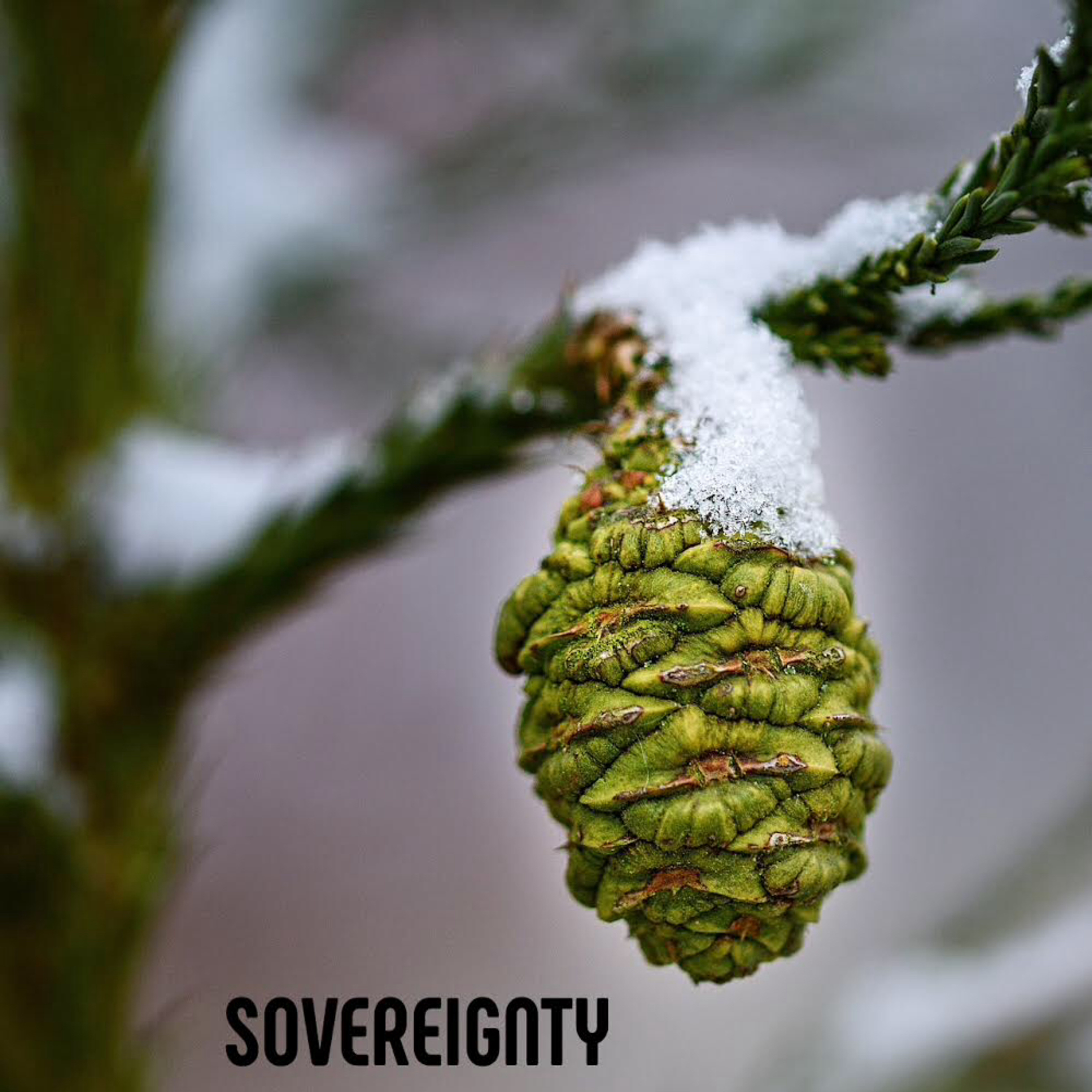 Sovereignty