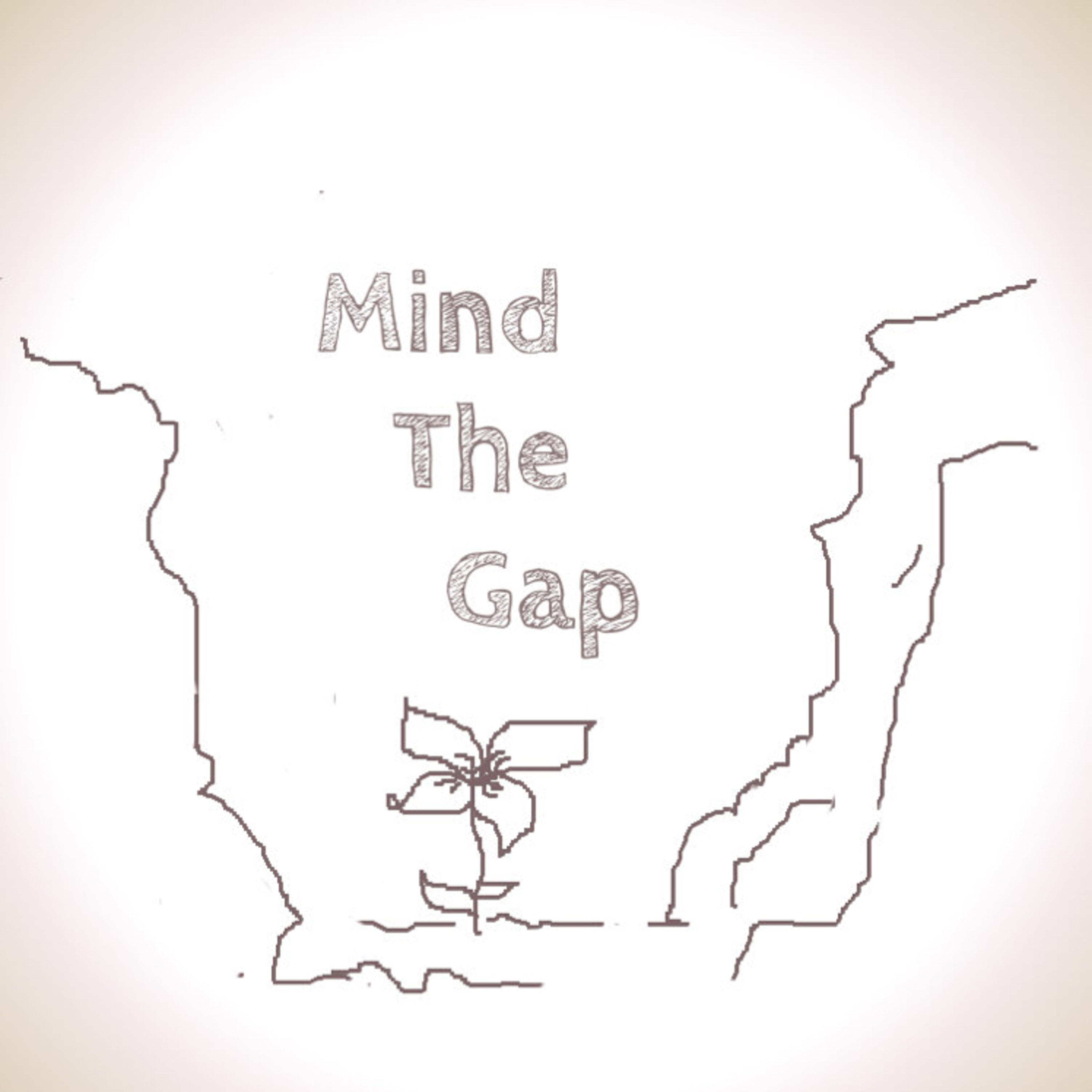 Mind The Gap #1: What do we mean by ‘gaps’?