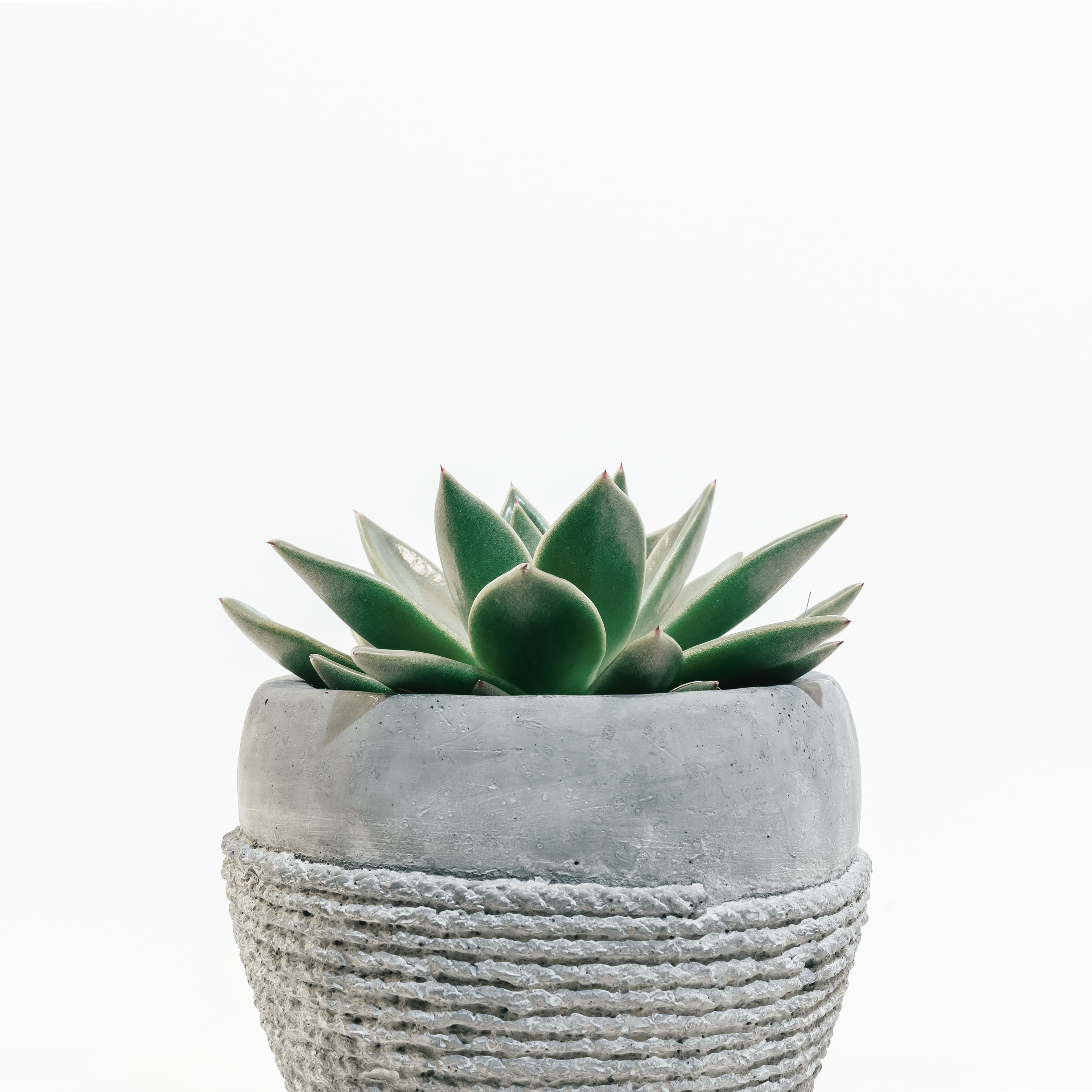 Minimalism.