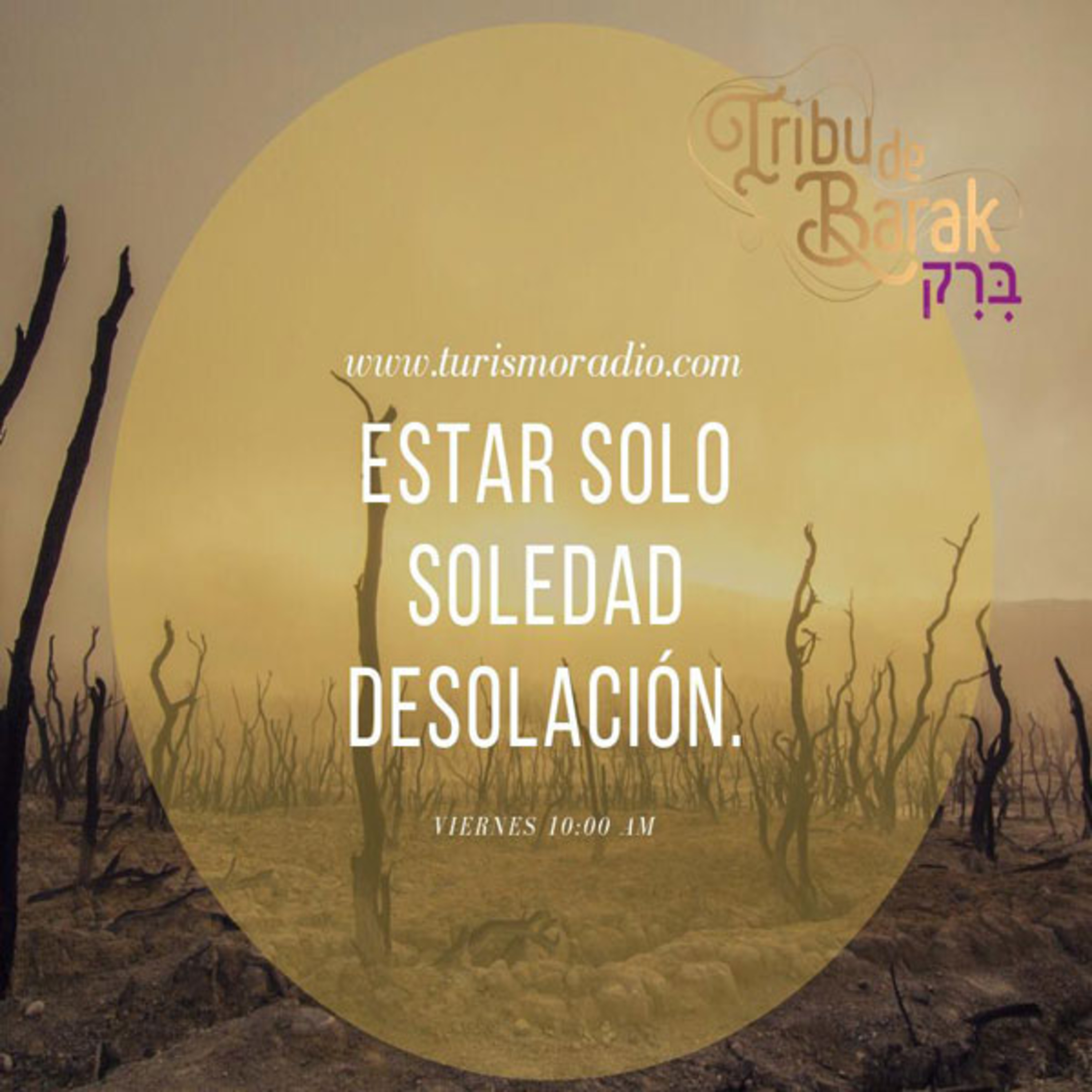 Programa 25 / Bloque 1.- Estar solo, soledad, desolación.