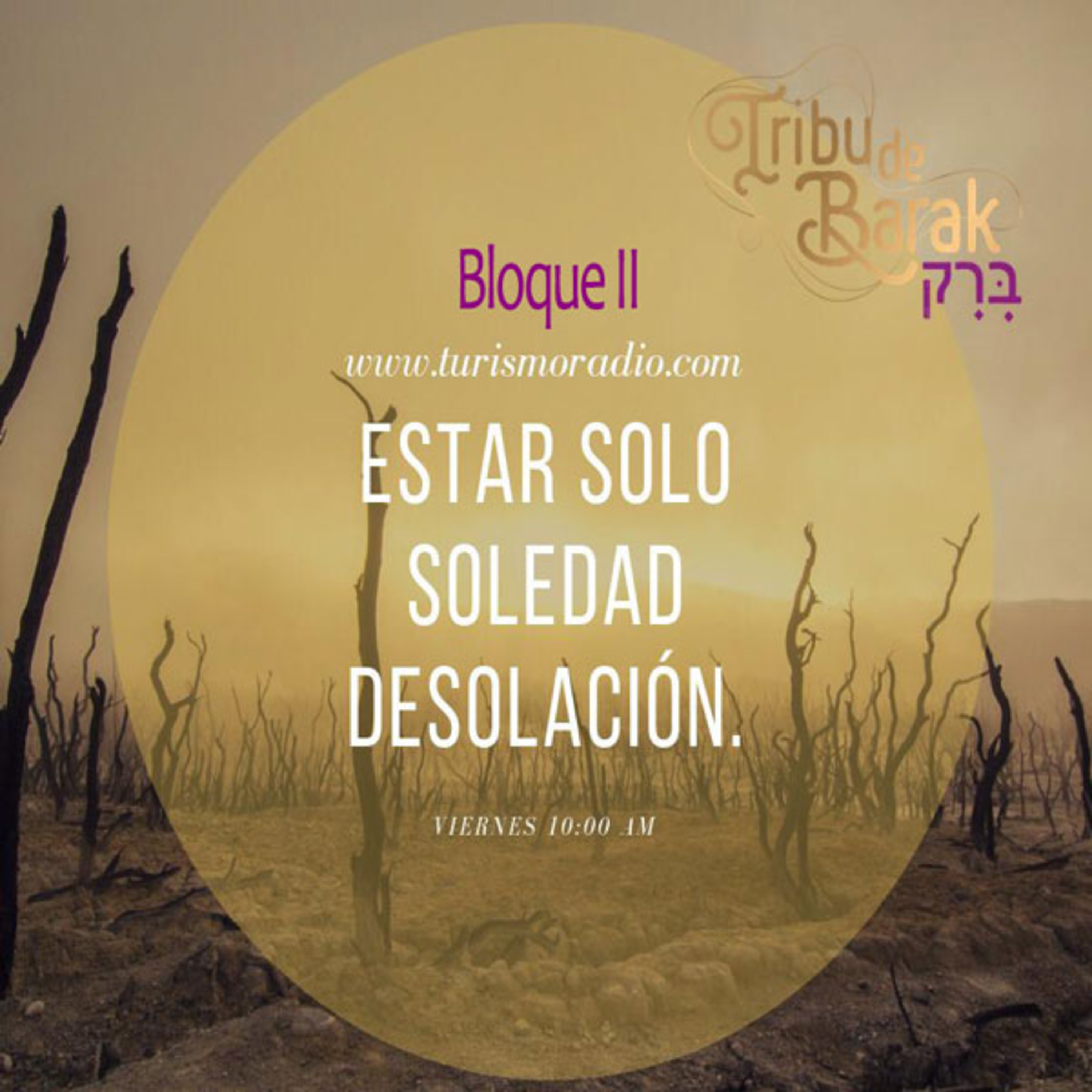 Programa 25 / Bloque II.- Estar solo, soledad, desolación.