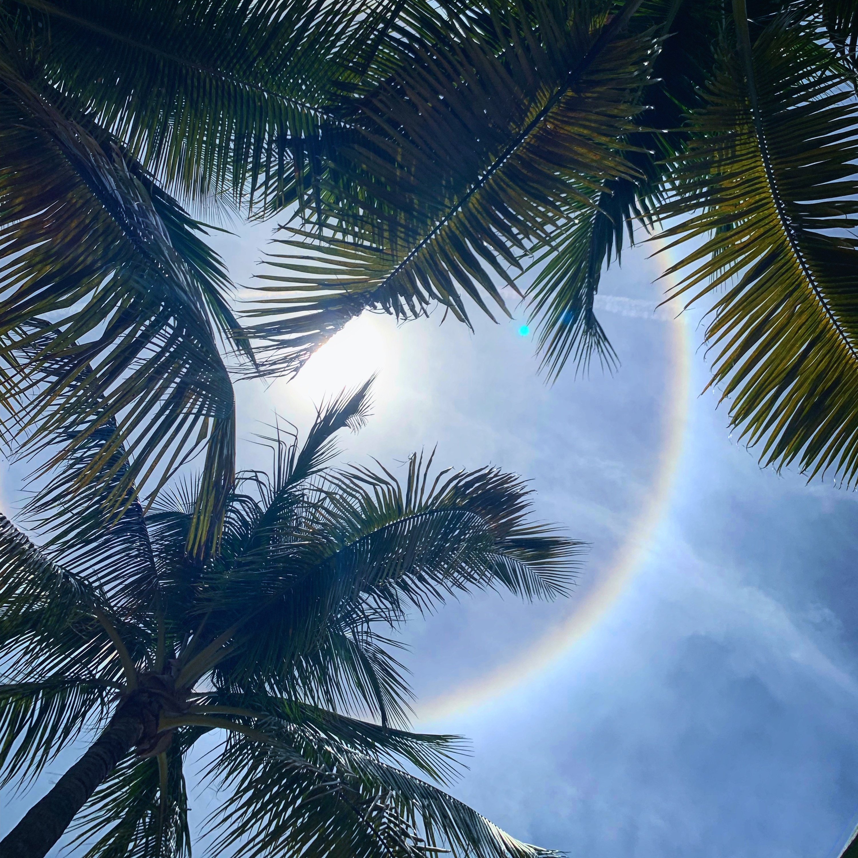 We talk about the Bahamas Live from Lori’s New 2019 23’ Pleasureway Motorcoach - “The Czy Cone “
