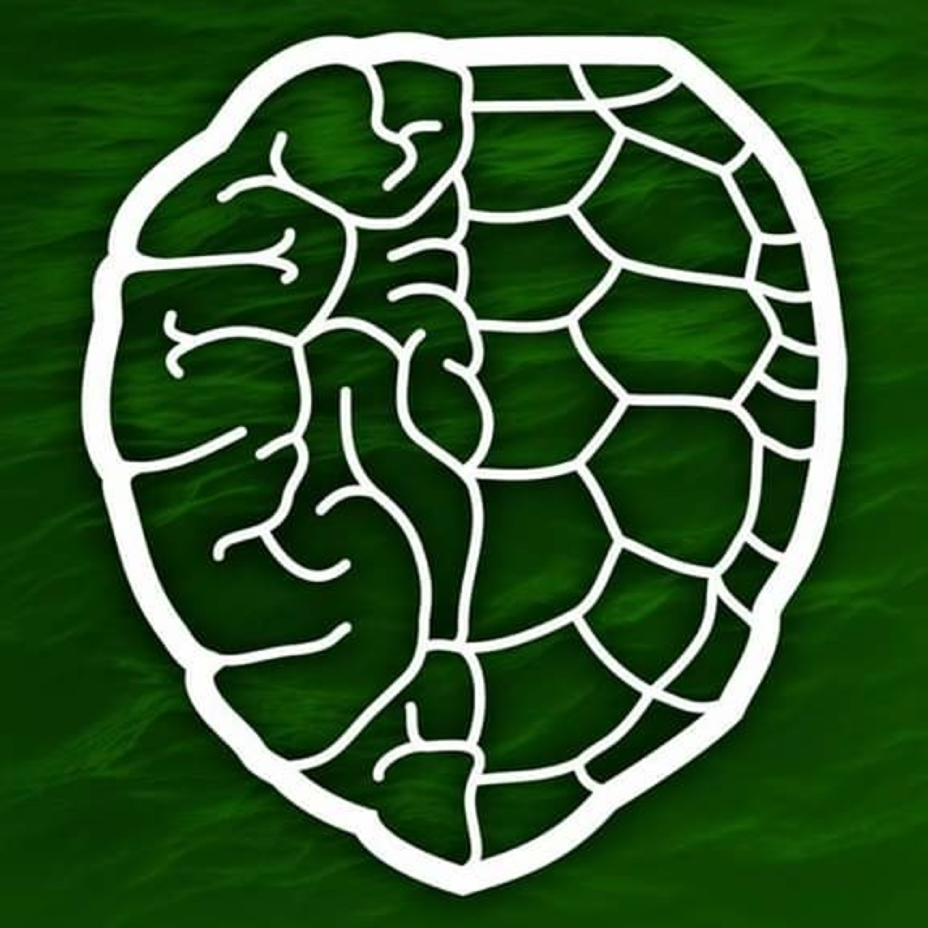 Sea Turtle Mindset Podcast