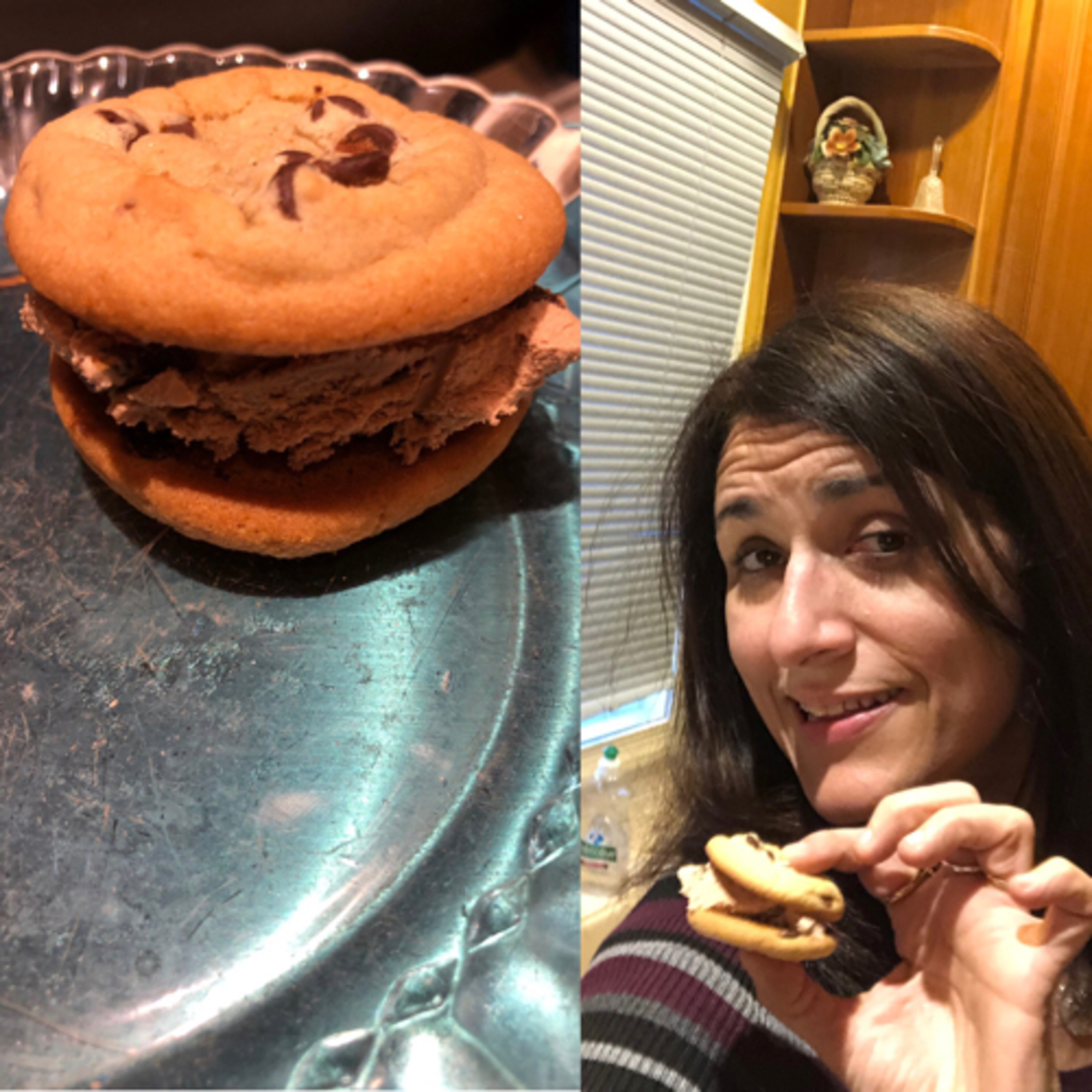 Ice Cream Sandwich Sensibility